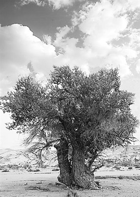 2345_image_file_copy_4.jpg