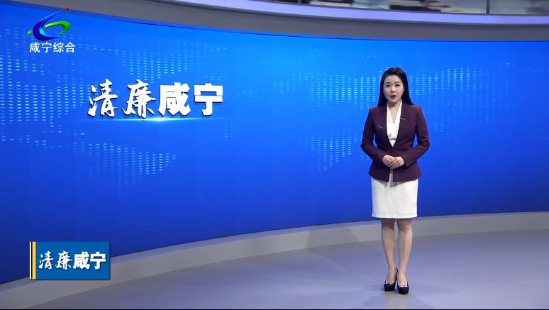 2023年2月28日《清廉咸寧》第九期
