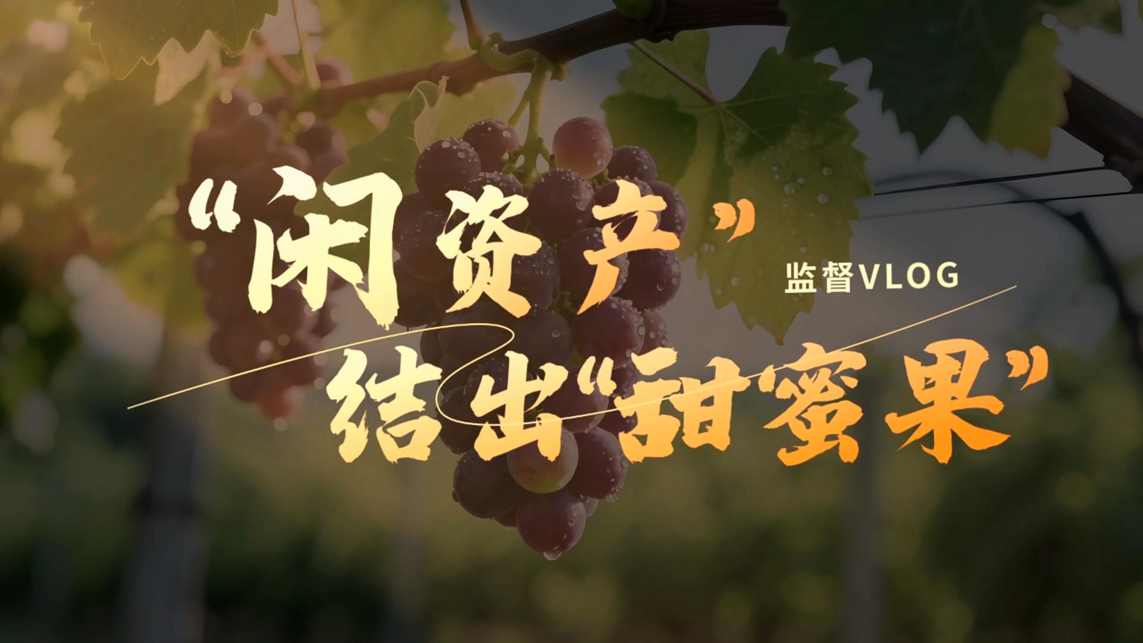 基层监督vlog丨“闲资产”结出“甜蜜果”